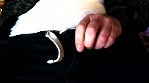 Snapshot of superstuntman1 chatting on February 10, 2025, 7:36 am superstuntman1 online show from February 10, 2025, 7:36 am