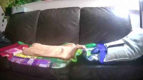 Otto online show from October 26, 2025, 4:29 am