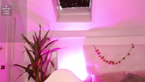 sweet blueberry  online show from February 5, 2025, 1:44 pm