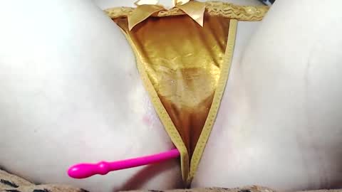 Kitten online show from May 16, 2026, 7:27 am