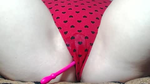 Kitten online show from May 17, 2026, 8:23 am