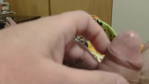 SweetRevenge online show from December 19, 2025, 9:33 pm