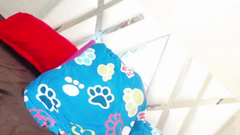 Snapshot of sweetsultrysiren chatting on January 23, 2025, 6:35 pm sweetsultrysiren online show from January 23, 2025, 6:35 pm