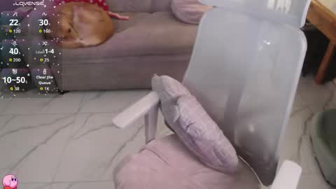 Pau online show from April 25, 2026, 12:24 am