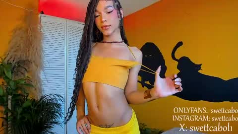 swettcabol online show from April 16, 2026, 7:36 pm