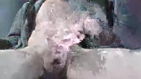 sybomec online show from March 25, 2026, 2:34 pm