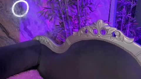 Sydney online show from April 1, 2026, 11:24 pm