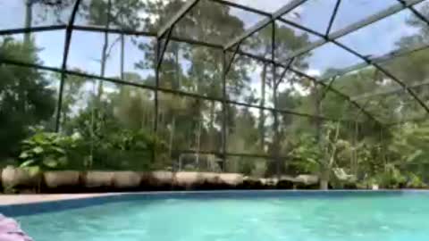 Jennah online show from July 9, 2026, 7:51 pm