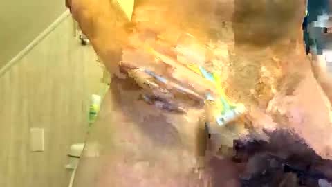 Snapshot of tailblazzer chatting on October 14, 2025, 10:49 am tailblazzer online show from October 14, 2025, 10:49 am