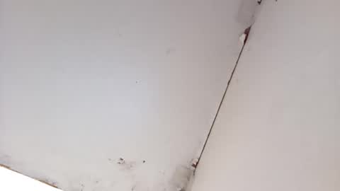 tall6feet7inch online show from March 16, 2026, 8:40 am