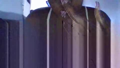 Snapshot of tanaya1 chatting on October 10, 2025, 5:28 am Tanaya1 online show from October 10, 2025, 5:28 am