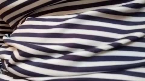 Snapshot of taniya_roy4628 chatting on March 1, 2026, 4:14 am taniya_roy4628 online show from March 1, 2026, 4:14 am