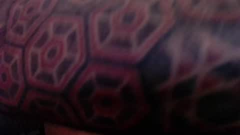 Snapshot of tatted420stoner chatting on October 5, 2025, 3:27 am tatted420stoner online show from October 5, 2025, 3:27 am