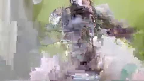 Snapshot of tattoo3333 chatting on September 14, 2025, 2:38 pm tattoo3333 online show from September 14, 2025, 2:38 pm