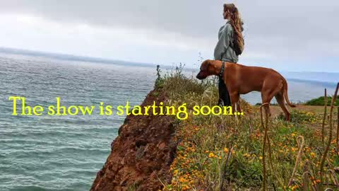 TATUM  ALL MY LINKS  online show from May 21, 2026, 9:44 pm