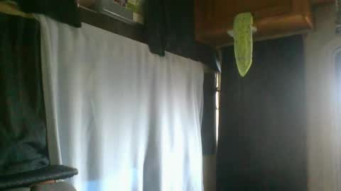 Snapshot of taylafox chatting on February 7, 2025, 9:26 pm taylafox online show from February 7, 2025, 9:26 pm