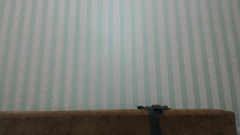 Snapshot of tayler_durden_1 chatting on December 20, 2024, 5:57 am ... online show from December 20, 2024, 5:57 am