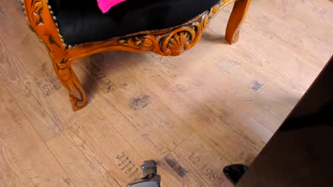 Mistress Taylor online show from December 15, 2024, 10:37 pm