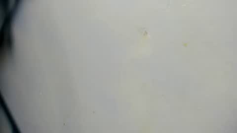 Snapshot of taz_box chatting on June 21, 2026, 11:51 pm taz_box online show from June 21, 2026, 11:51 pm