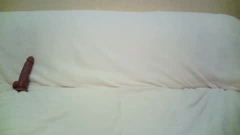 teach4kitty online show from September 29, 2025, 7:30 pm