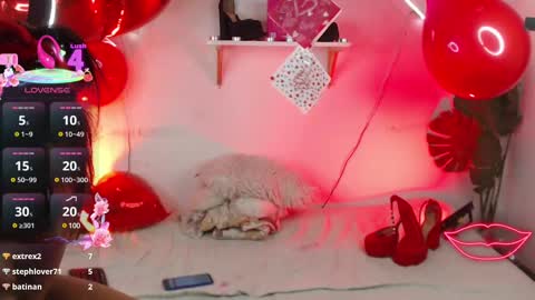 tefy_bratz online show from February 14, 2025, 9:56 am