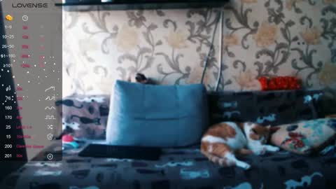 Snapshot of tender__ada chatting on December 19, 2025, 9:38 am Ada online show from December 19, 2025, 9:38 am