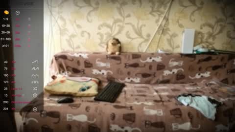 Snapshot of tender__ada chatting on January 10, 2026, 1:24 pm Ada online show from January 10, 2026, 1:24 pm