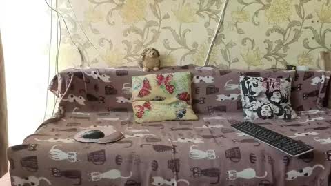 Snapshot of tender__ada chatting on February 4, 2026, 9:59 am Ada online show from February 4, 2026, 9:59 am