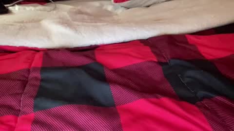 Snapshot of texashotrod chatting on December 6, 2024, 6:59 am Derick online show from December 6, 2024, 6:59 am