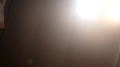 Snapshot of thatb1 chatting on February 22, 2025, 10:40 am thatb1 online show from February 22, 2025, 10:40 am