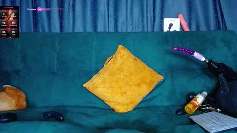 Snapshot of the_dog_lian chatting on March 7, 2026, 2:19 am the dog lian online show from March 7, 2026, 2:19 am