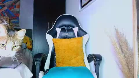 Snapshot of the_dog_lian chatting on July 14, 2026, 12:24 am the dog lian online show from July 14, 2026, 12:24 am