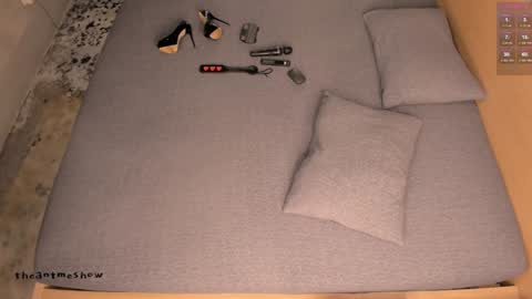 Snapshot of theanytimeshow chatting on September 20, 2025, 4:19 pm Anny online show from September 20, 2025, 4:19 pm