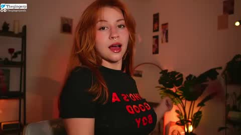 Snapshot of thegingerp chatting on April 27, 2026, 10:41 pm Streaming mostly at online show from April 27, 2026, 10:41 pm
