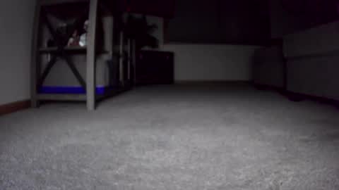 Snapshot of thegreat6268469 chatting on December 24, 2024, 10:44 am thegreat6268469 online show from December 24, 2024, 10:44 am