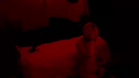 thehungmantis online show from October 15, 2025, 2:22 am