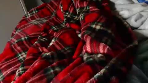 Snapshot of thejerk1974 chatting on March 23, 2026, 8:35 pm Liam online show from March 23, 2026, 8:35 pm