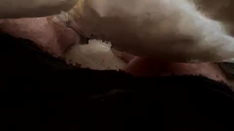 Snapshot of thelonlyboy chatting on November 19, 2025, 3:06 am thelonlyboy online show from November 19, 2025, 3:06 am