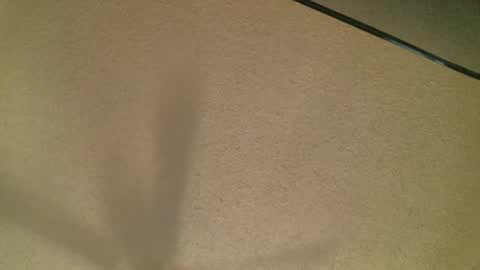 Snapshot of themormonman chatting on October 19, 2025, 3:51 am Daisy and Tim online show from October 19, 2025, 3:51 am