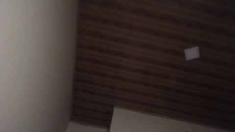 Snapshot of therazhanen chatting on December 6, 2024, 6:48 am Santiago Enrique online show from December 6, 2024, 6:48 am