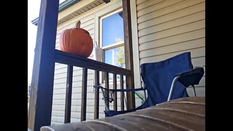 Snapshot of therizzler_1_of_1 chatting on October 22, 2025, 7:57 pm therizzler_1_of_1 online show from October 22, 2025, 7:57 pm