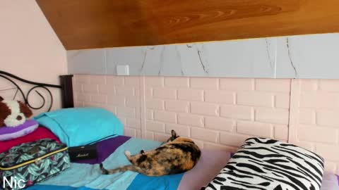 Nicole online show from March 25, 2026, 2:45 pm