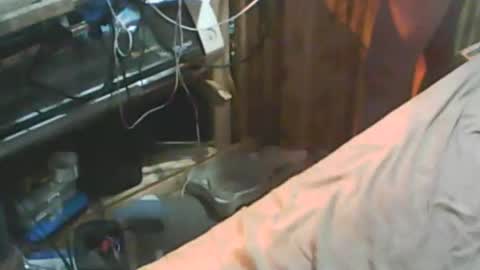 Thisguyscott online show from January 18, 2026, 1:09 am