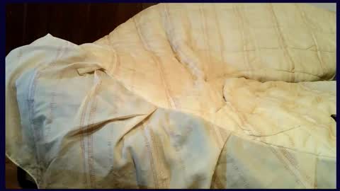 Snapshot of thongsandstockings chatting on September 27, 2025, 11:54 pm Thongsandstocking online show from September 27, 2025, 11:54 pm