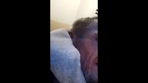 Snapshot of tibed1968836757 chatting on February 15, 2026, 8:49 pm tibed1968836757 online show from February 15, 2026, 8:49 pm