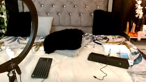 tiffany_sander online show from March 1, 2025, 1:00 am