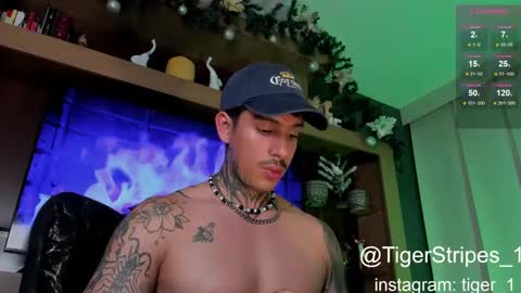 Snapshot of tigerstripes_ chatting on January 8, 2025, 2:25 am Chris online show from January 8, 2025, 2:25 am