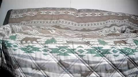 Snapshot of timeisgone chatting on December 13, 2024, 2:49 pm Casey online show from December 13, 2024, 2:49 pm