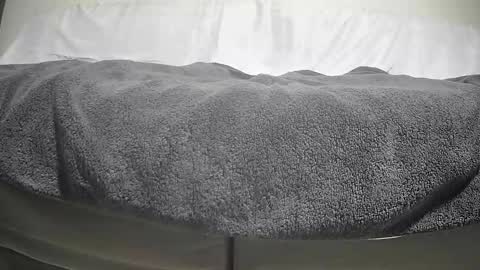 Snapshot of timeisgone chatting on September 29, 2025, 4:12 pm Casey online show from September 29, 2025, 4:12 pm