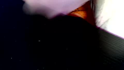 timer08230823 online show from April 19, 2026, 7:51 am